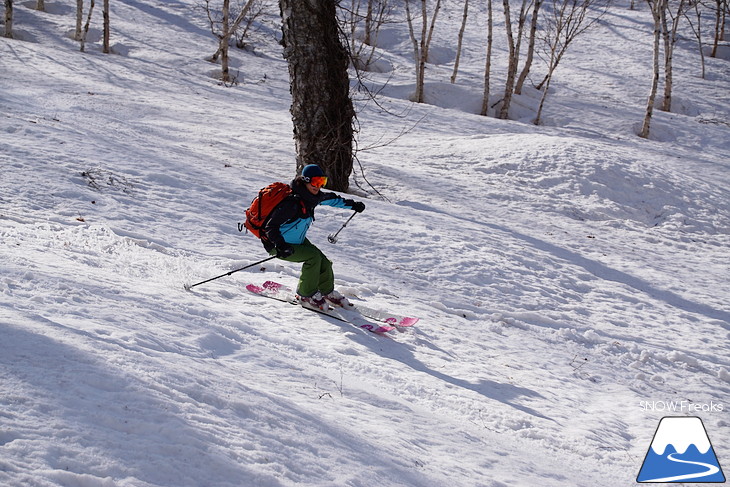 DYNASTAR SKI series Test Ride Days 2017 in ニセコユナイテッド【Day.2】～ニセコグラン・ヒラフ～